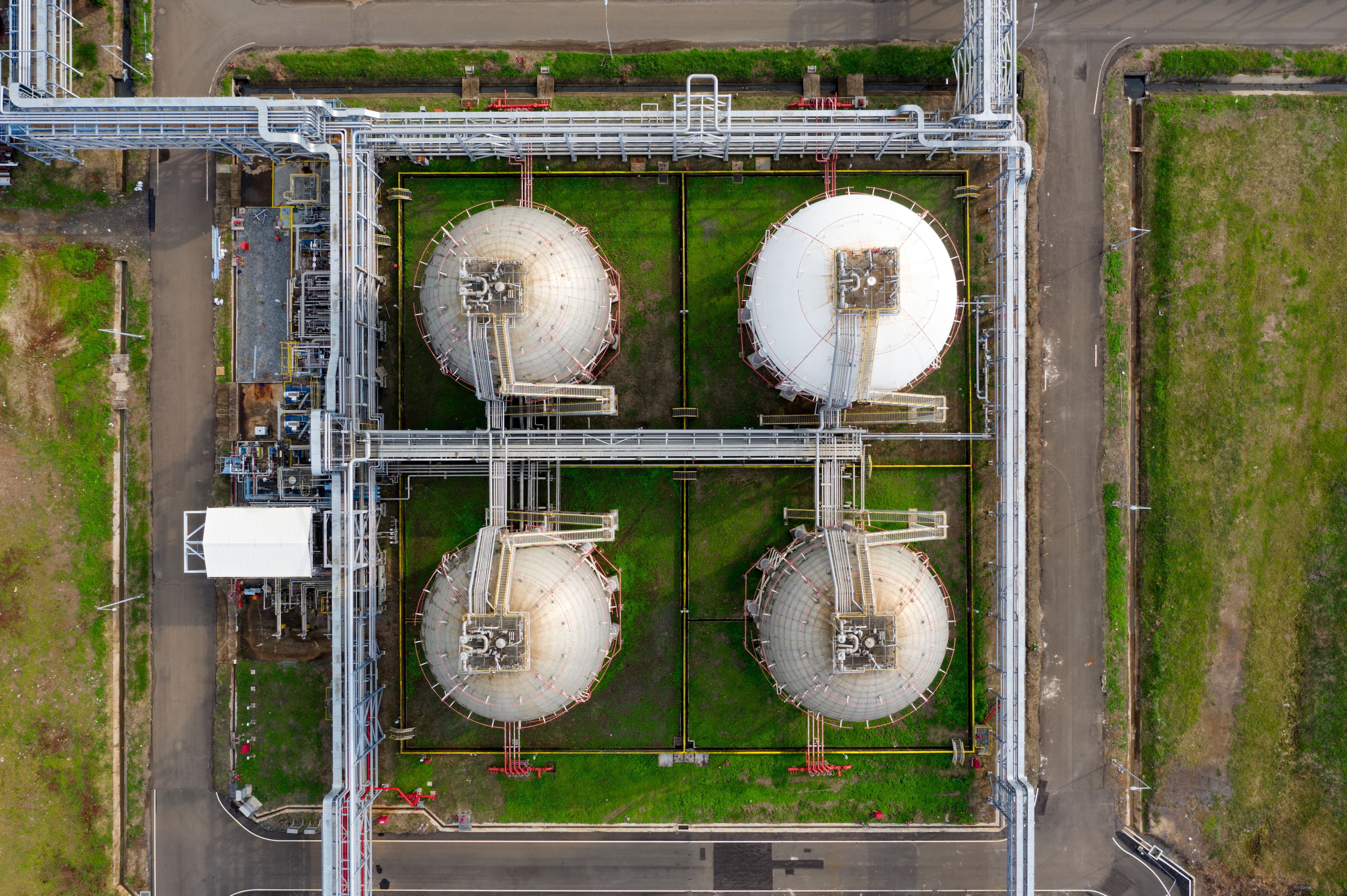 Petrolchemical plant